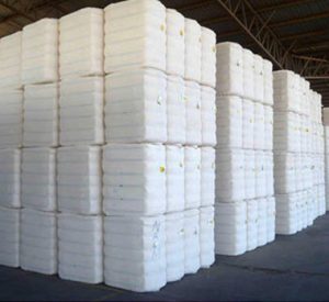 cotton bales