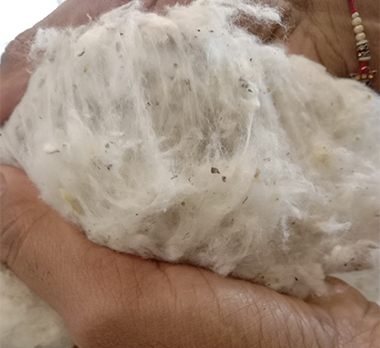 processed cotton